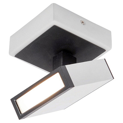 Светодиодный спот Lussole Loft LSP-8012