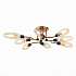Потолочная люстра ST Luce Desima SL1174.302.08