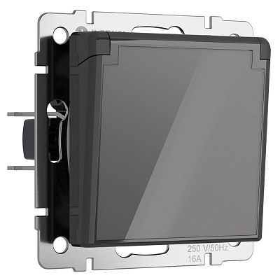 Розетка с заземлением, шторками и защитной крышкой Werkel графит акриловый a064092