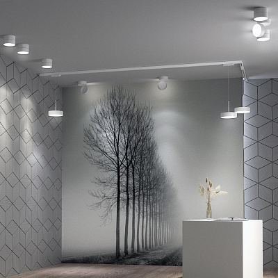 Трековый cветодиодный светильник Novotech Prometa 358770