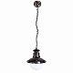 Уличный подвесной светильник Arte Lamp Amsterdam A1523SO-1BN
