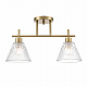 Потолочная люстра Lumion Vivian 8188/2C