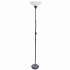 Торшер Arte Lamp Duetto A9569PN-1SI