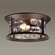 Уличный подвесной светильник Odeon Light Mavret 4961/2C