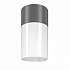 Потолочный светильник Maytoni Outdoor Willis O418CL-01GR