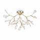 Потолочная люстра Freya Florencia FR5049CL-36G