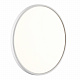 Настенно-потолочный светодиодный светильник Sonex Alfa White 7659/40L