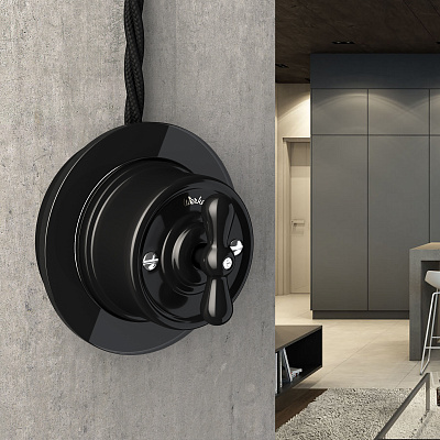 Переключатель одноклавишный Werkel W5612008 черный a051454