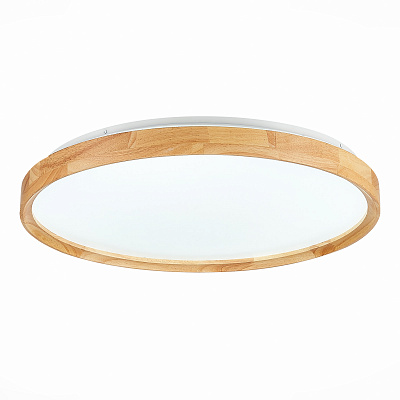 Потолочный светодиодный светильник Evoluce Delia SLE201382-01