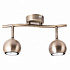 Спот Arte Lamp Brad A6253PL-2AB