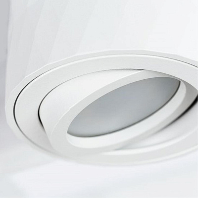 Накладной светильник Arte Lamp Fang A5559PL-1WH