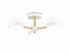 Люстра Ambrella FL4821