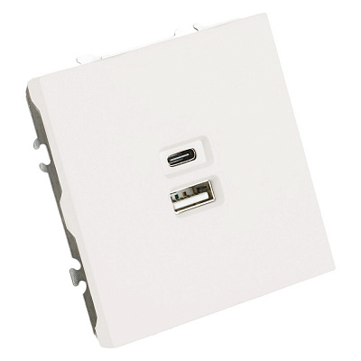 Розетка 2-местная USB + Type C (механизм), STEKKER Эмили, 250В, 20W, RST10-5115-01, белый фарфор, soft touch