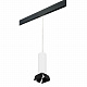 Трековый светильник Lightstar Rullo PRORP6496487