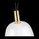 Подвесной светодиодный светильник ST Luce Allenore SL1582.313.01