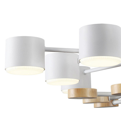 Потолочная люстра Lumion Rondo 8196/10C