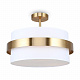 Потолочный светильник Freya Bride FR5367CL-03BS