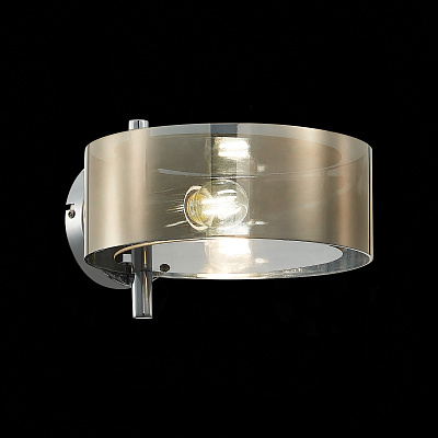 Настенный светильник Evoluce Foresta SL483.701.01