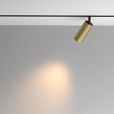 Магнитный трековый светильник Maytoni Artisan TR097-2-12W3K-M-BMG