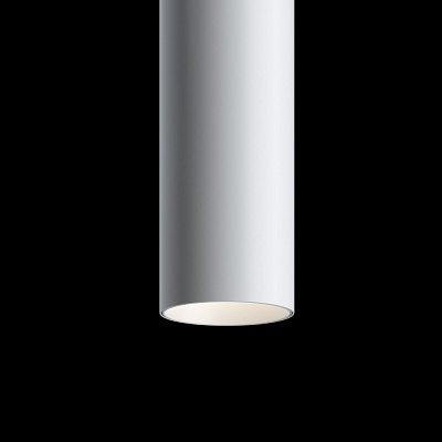 Трековый светильник Maytoni Technical TR016-2-12W3K-W