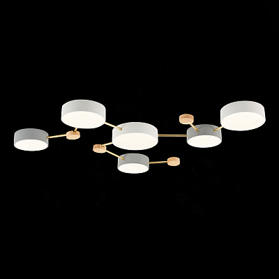 Потолочный светодиодный светильник Evoluce Dossena SLE600102-06