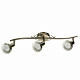 Спот Arte Lamp Focus A5219PL-3AB