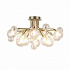 Потолочная люстра Favourite Lash 2524-10U