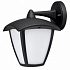 Уличный настенный светильник Arte Lamp Savanna A2209AL-1BK