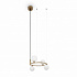 Подвесная люстра Maytoni Ring MOD013PL-04BS1