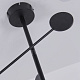 Люстра Favourite Vorago 4572-3C