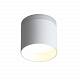 Потолочный светодиодный светильник ST Luce Panaggio ST102.502.09
