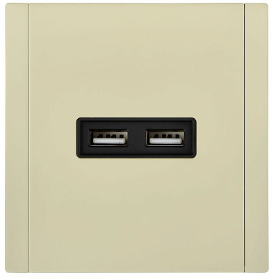 Розетка USB A+A 3,1А IEK FORTE&PIANO FP849M FP-U21-D31-M-K41 металл серый сланец