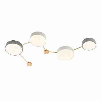 Потолочный светодиодный светильник Evoluce Dossena SLE600102-04