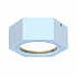 Уличный потолочный светильник Favourite Fantum 4665-1U