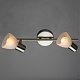 Спот Arte Lamp Parry A5062AP-2SS