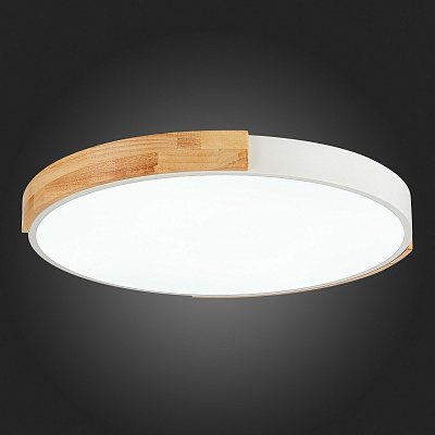 Потолочный светодиодный светильник Evoluce Delia SLE201352-01