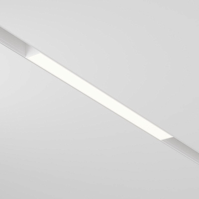 Трековый светильник Maytoni Basis Exility TR030-2-12W3K-W