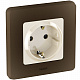 Рамка на 1 пост бронза Legrand Inspiria 673939