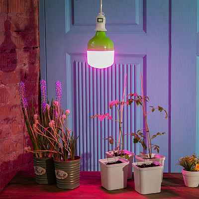 Лампа светодиодная для растений Uniel cпектр для рассады и цветения LED-M80-20W/SPSB/E27/FR PLS55GR