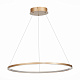 Люстра подвесная ST-Luce ST603 IN ST603.243.34
