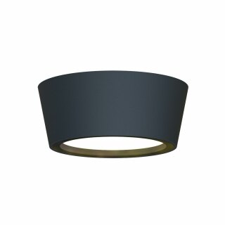 Уличный потолочный светильник Favourite Fantum 4675-1U