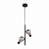 Подвесной светильник Freya Evidence  FR5372PL-02B
