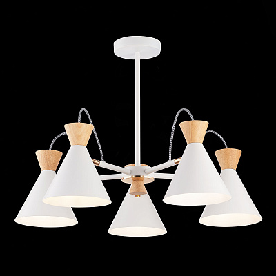 Люстра Evoluce Modica SLE125102-05