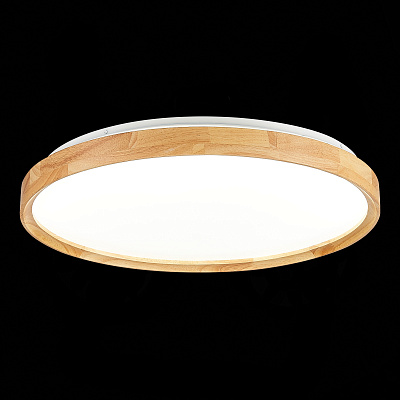 Потолочный светодиодный светильник Evoluce Delia SLE201382-01