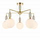 Потолочная люстра Lumion Vivien 6580/5C