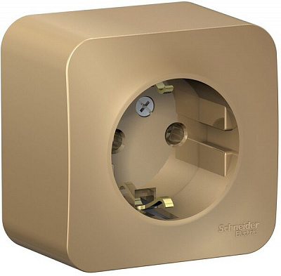 Розетка SE Blanca титан BLNRA010104