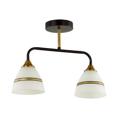 Люстра Lumion Nettie 5214/2CA