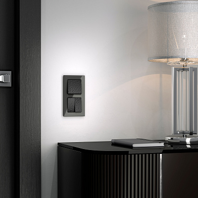 Выключатель двухклавишный Werkel Hammer W1220008 черный a052059