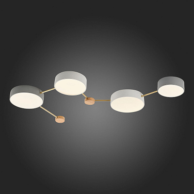 Потолочный светодиодный светильник Evoluce Dossena SLE600102-04