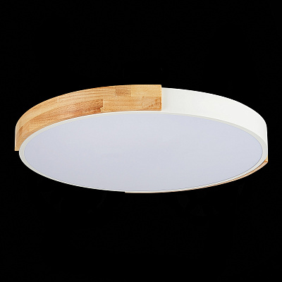 Потолочный светодиодный светильник Evoluce Delia SLE201352-01